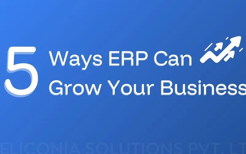 blog-5-way-erp-can-grow-business
