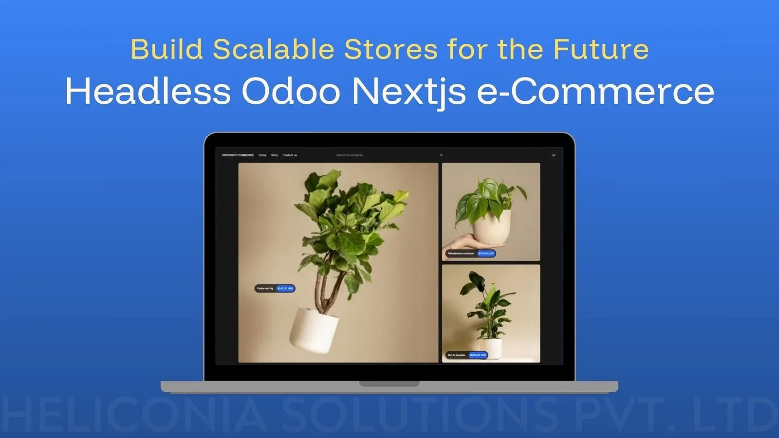blog-headless-odoo-nextjs-e-Commerce