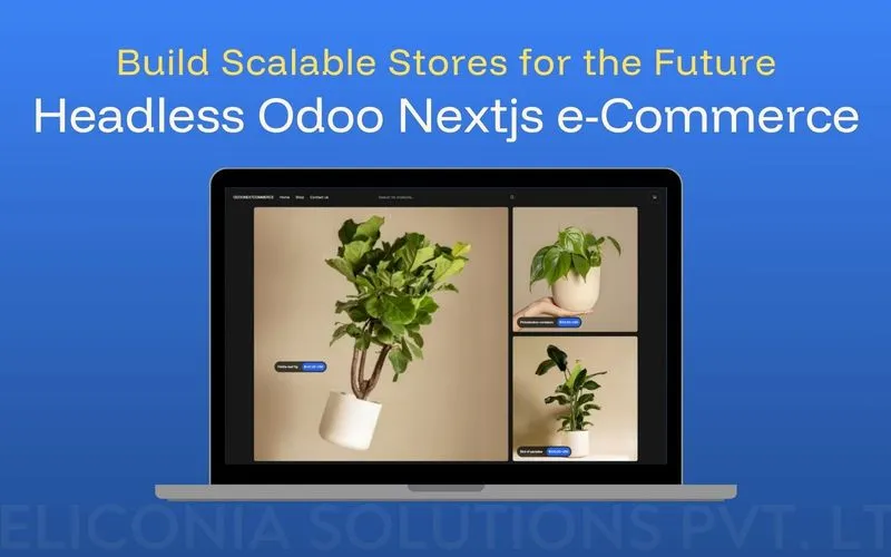 blog-headless-odoo-nextjs-e-Commerce